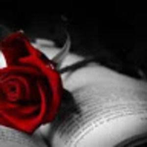 Meet your Posher, Ricki